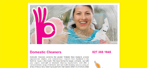Domestic Cleaners